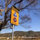 문경참미나리 미돈가 이미지