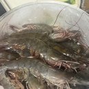 건우수산 네이버블로그