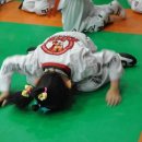 국제고려태권도 이미지