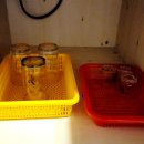 통나무펜션다오레민박 이미지