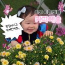 커피예술 - 124650 | 아산 카페 ) 지중해마을 근처 감성카페 : 데이트하기 좋은, 커피예술 솔직 방문 후기