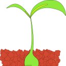 제생한의원 이미지