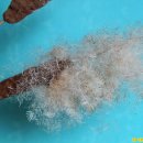 부들공원 이미지