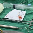 잘가요사랑니치과의원 이미지