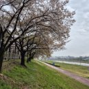 신신농장 이미지