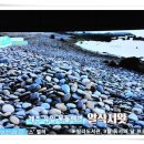 내도동 알작지왓 이미지