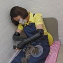 삐삐그루밍 이미지