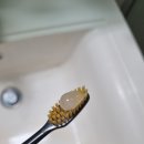 솔향메디 네이버블로그