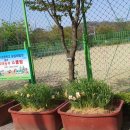 하가초등학교병설유치원 이미지