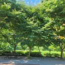 다옴 햇골 캠핑장 이미지