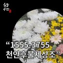 천안상조 | 천안 후불제상조 선택 가이드 올리사랑상조의 천안의료원 후기