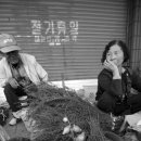 금산장 이미지