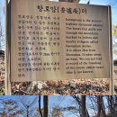 조계산 장군봉(884m).....2020/11/5 이미지