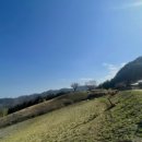 황토통나무집민박 이미지