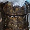 생명농장 이미지