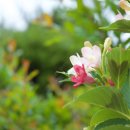 그냥찻집 이미지