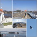 실전항 | 섬 안에 산, 거제 가조도 옥녀봉의 따뜻한 산행 함께 하시죠