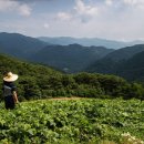 가곡마을회관 이미지