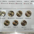샐럽부부 이미지