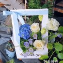 수원-0806 이미지