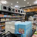 성지애견 이미지