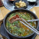 단풍나무 | [단풍나무집] 영양만점 흑염소 마석역 맛집 단풍나무집 방문 후기