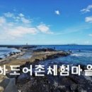 푸른바다 Daum카페
