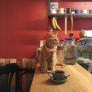 카페고니 이미지