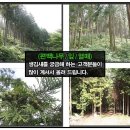 다듬이 세탁 이미지