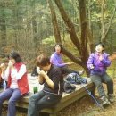 현성한우 이미지