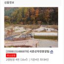 서운산 자연휴양림 자동차야영장 | 안성 서운산 자연휴양림 2야영장 4번데크 후기