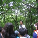 운문산자연휴양림 이미지