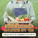 포항과채