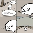 촌련 | 떠납니다. 혼자. 오사카로.