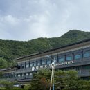 새농장 눈꽃한우농장 | 더워도 캠핑은 한다(태백 호텔 캠핑장, 태백 눈꽃 야영장, 여름 캠핑장 추천, 키즈 캠핑장 추천)