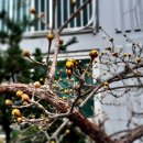 봄비어린이공원 이미지