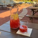 제주로뎀나무하우스 | 경기광주 제주베어하우스 후기, 분당율동공원카페 크리스마스 포토존&amp;애견동반 테라스