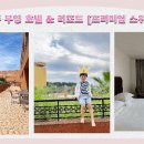 퍼시픽프리미엄투어 이미지