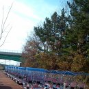 대천리조트 이미지