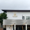 운정떡 | 파주 운정 맛집 코이네 솔직 후기