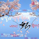 솔로몬전자 이미지