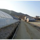 장곡면 대현1리마을회관 이미지