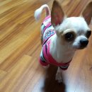 도기살롱 이미지