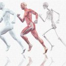 변화휘트니스 헬스&PT 이미지