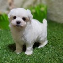 모두와샵 이미지