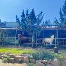 승마장 야외화장실2 | [창녕]우포승마장 아이랑 가볼만한 곳