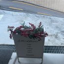 수제 생화 맞춤 케이크 맛집 Athird 주차 가격 정보 내돈내산 후기