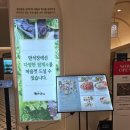 건강요가 | 신세계 사우스시티 맛집 만석정: 요가 메이트와 즐긴 건강한 쌈밥 정식 점심 후기