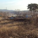 청옥중학교 이미지