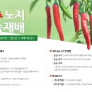 고추 노지 조숙 재배 - 1 이미지